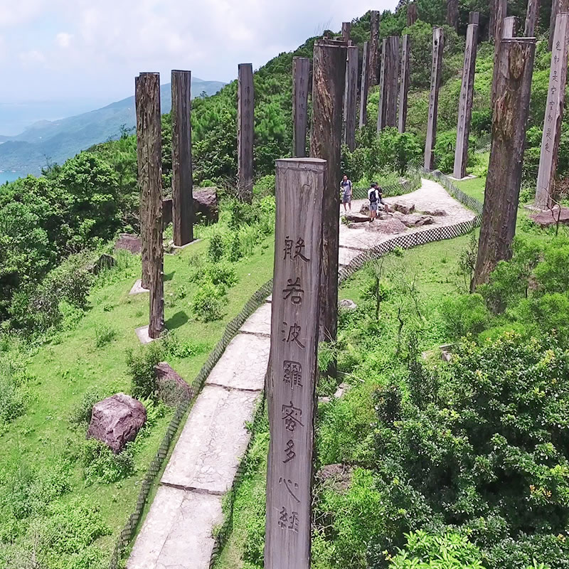 昂坪,寶蓮寺,心經簡林,大澳茶粿DIY工作坊,深度之旅