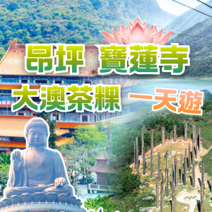 昂坪、寶蓮寺、心經簡林與大澳茶粿一天遊