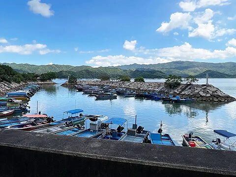 沙頭角禁區10大景點, 富琴農莊DIY之旅 - Image 2