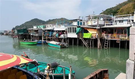 大嶼山欣澳、體驗大澳茶粿製作深度離島一天遊 - Image 2