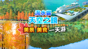 【大埔篇】流水響天空之鏡、落羽松紅葉 、點心放題一天遊