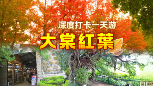 大棠紅葉深度打卡一天遊：錦田百年樹屋、紅磚市集