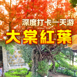 大棠紅葉深度打卡一天遊：錦田百年樹屋、紅磚市集